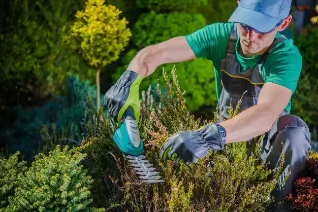 landscaping services Annville